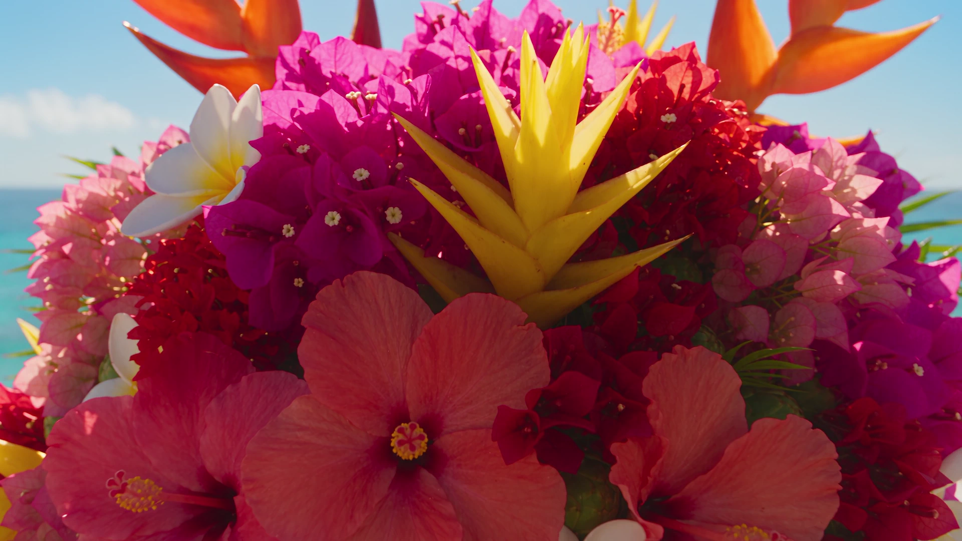A bouquet of tropical flowers opening